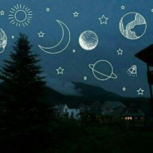 Meet your Posher, Alvina